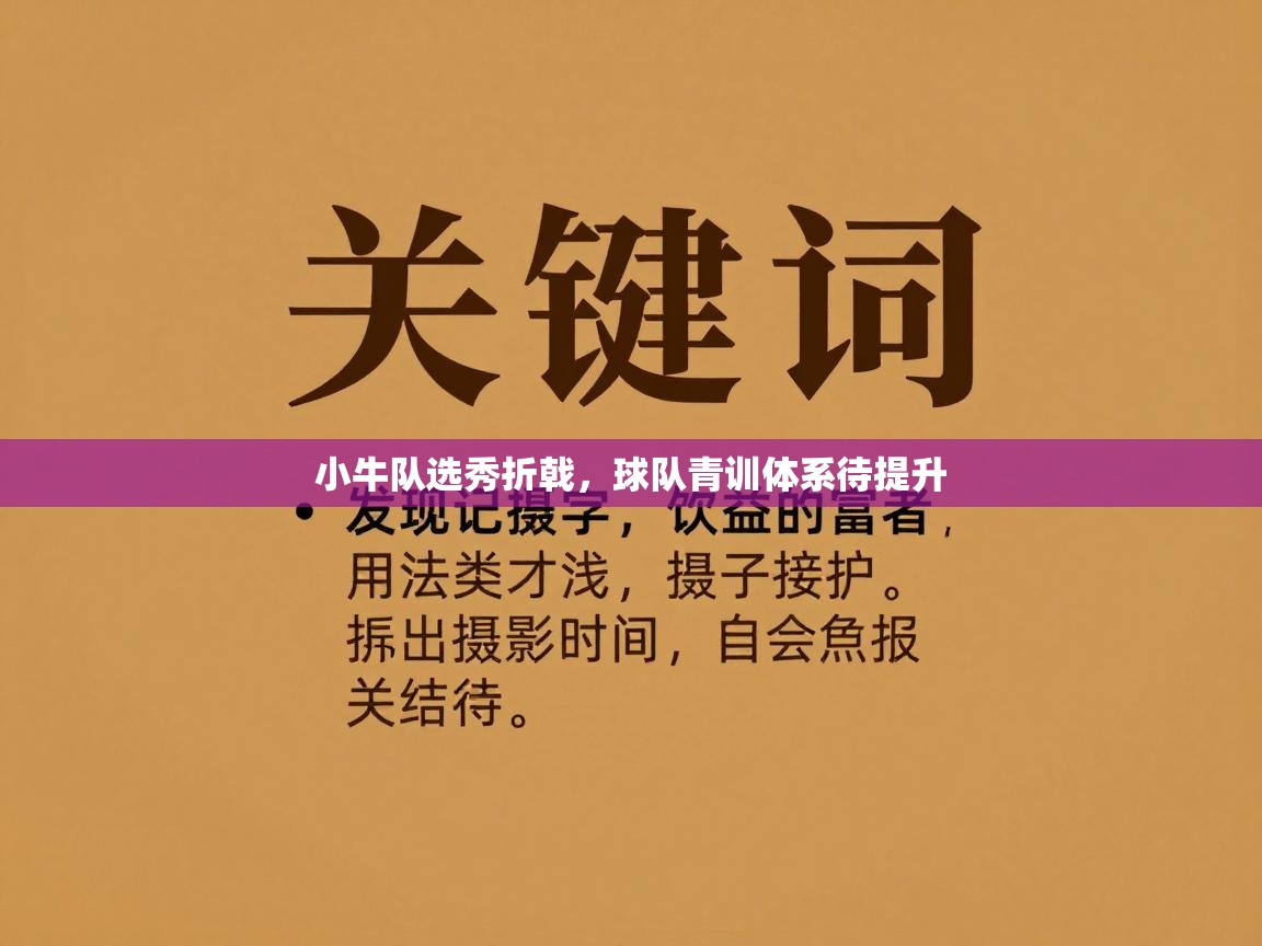 小牛队选秀折戟，球队青训体系待提升  第1张