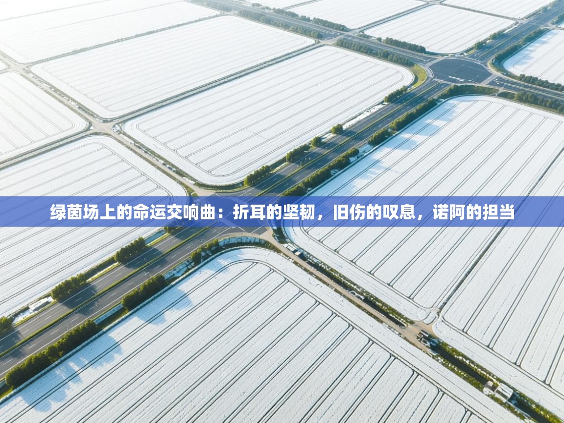 绿茵场上的命运交响曲：折耳的坚韧，旧伤的叹息，诺阿的担当  第2张