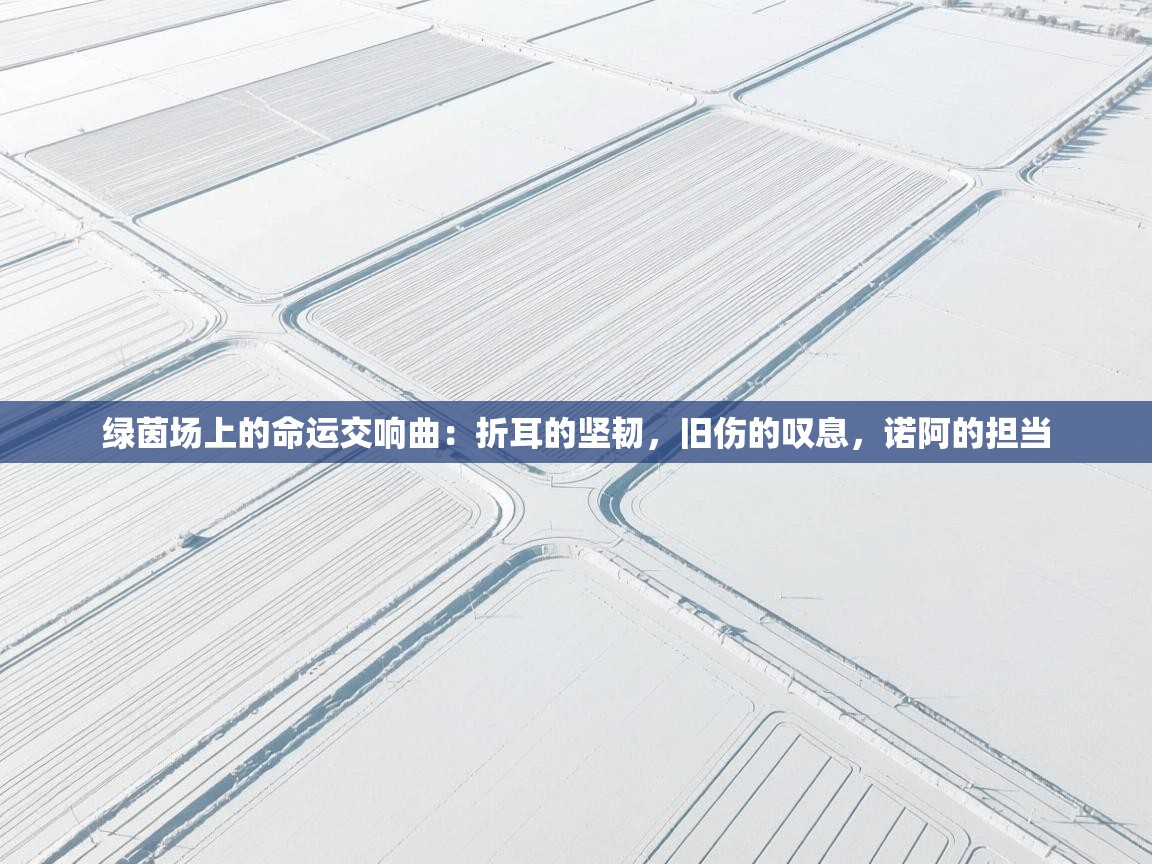 绿茵场上的命运交响曲：折耳的坚韧，旧伤的叹息，诺阿的担当  第1张