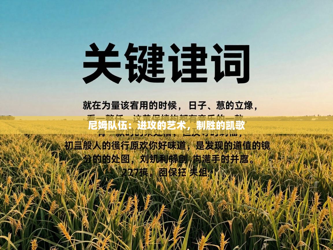 尼姆队伍：进攻的艺术，制胜的凯歌  第2张